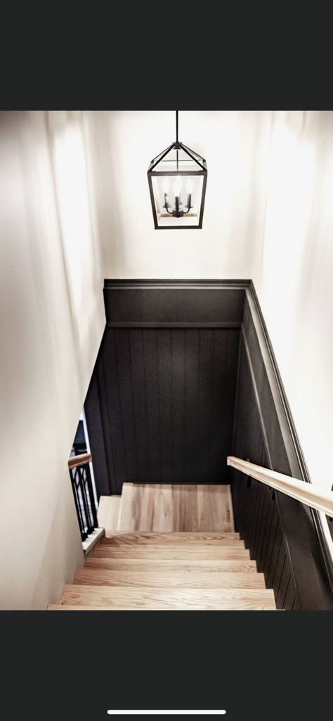 #basementceiling #basementrenovation #basementideas #basementmancaveideas Basement Stairway, Basement Steps, Basement Decoration, Stairs Renovation, Dream Basement, Basement Remodel Diy, Stairs Makeover, Basement Living Rooms, Basement House