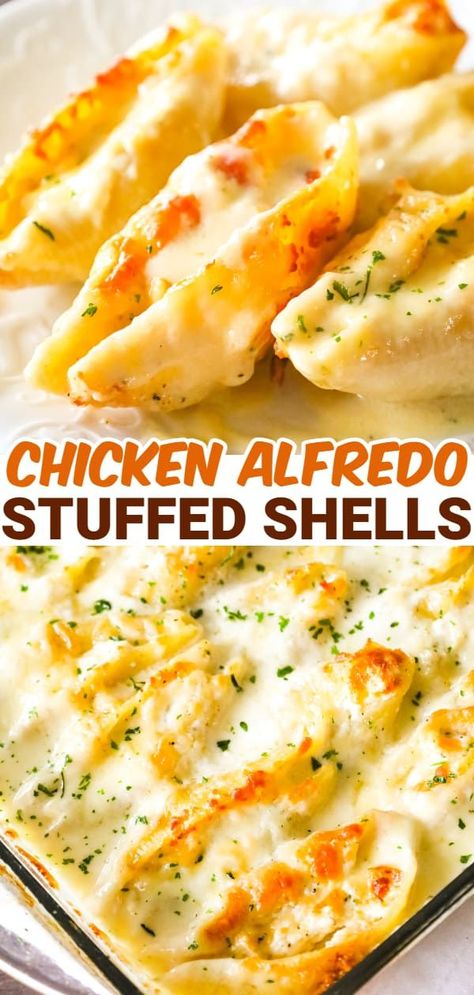 Shredded Chicken Casserole, Ultimate Chicken Casserole, Chicken Alfredo Stuffed Shells, Alfredo Stuffed Shells, Chicken Casserole Recipes, Chicken Alfredo Recipes, Shredded Chicken Recipes, Stuffed Shells Recipe, Alfredo Recipe