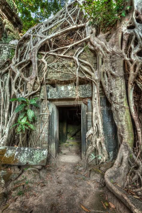 Ancient stone door and tree roots, Ta Prohm temple, Angkor by f9photos. High dynamic range (hdr) image of ancient stone door and tree roots, Ta Prohm temple ruins, Angkor, Cambodia #Affiliate #Prohm, #Ta, #Angkor, #temple Building Ruins, Ruined Temple, Ta Prohm Temple, Temple Door, Stone Door, Aztec Temple, Old Temple, Ta Prohm, Tree Door