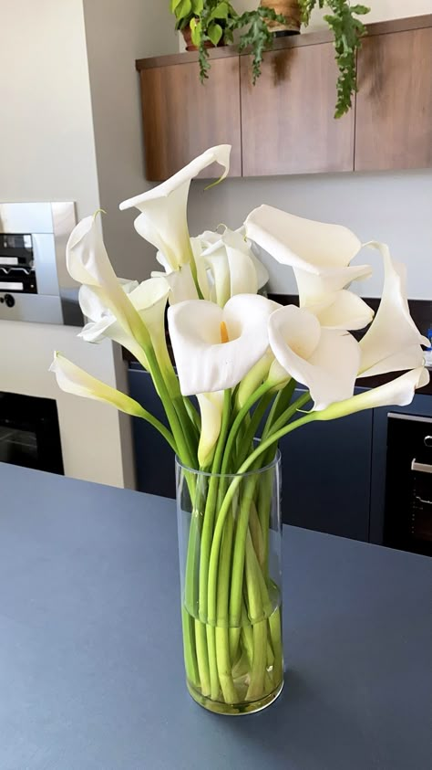 Calla Lily Centerpieces, Floral Therapy, Lily Vases, Calla Lily Wedding, Arum Lily, Luxury Flower Bouquets, Calla Lily Bouquet, Lily Bouquet, Flower Vase Arrangements