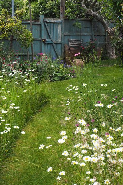 Mini Meadow, Funny Vine, Jardim Diy, Country Garden Decor, Meadow Garden, Cottage Garden Design, Garden Types, Have Inspiration, Wildflower Garden