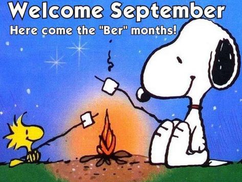 The Ber Months, Snoopy Family, Good Morning Snoopy, Ber Months, Snoopy Collectibles, Good Morning Sunshine Quotes, Snoopy Funny, Snoopy Images, Snoopy Wallpaper