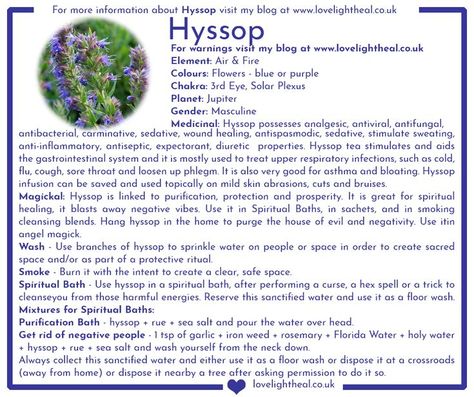 A small description about the healing and magickal properties of Hyssop. Visit www.lovelightheal.co.uk/blog to read the full description. Hyssop Benefits Spiritual, Hyssop Witchcraft, Hoodoo Herbs And Roots, Blue Lotus Magical Properties, Blue Cornflower Magical Properties, Motherwort Magical Properties, Hyssop Magical Properties, Hyssop Benefits, Money Bowl