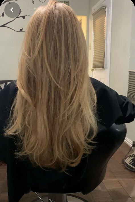 Dirty Blonde Hair, Hairstyles For Layered Hair, Honey Blonde Hair, Blonde Hair Inspiration, Hair Model, Blonde Hair Looks, Haircuts Straight Hair, Long Blonde, Hair Stylist Life