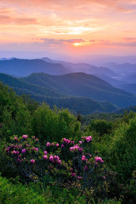 Spring Views Nature, Kentucky Landscape Photography, Pretty Mountain Pictures, Mountain Nature Aesthetic, Mountains Landscape Photography, Appalachian Wallpaper, Green Mountain Aesthetic Wallpaper, Mountain Asthetic Picture, Nature Real Photos