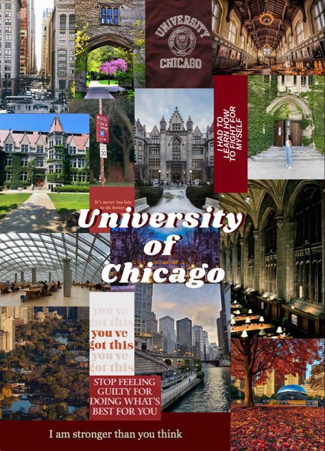 U Chicago University, Uic Chicago Aesthetic, Chicago College Aesthetic, Mit College Aesthetic, University Of Chicago Aesthetic, American College Aesthetic, Chicago Aesthetic Wallpaper, University Aesthetic Wallpaper, Chicago Collage