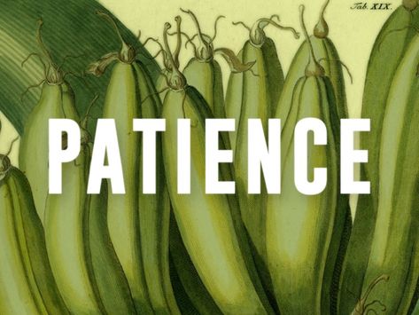 Patience Fruit Of The Spirit, Fruit Of The Spirit Patience, Fruit Of Spirit, The Fruit Of The Spirit, Bible Verses For Kids, Jesus Calling, Fruit Of The Spirit, Follow Jesus, A Fruit