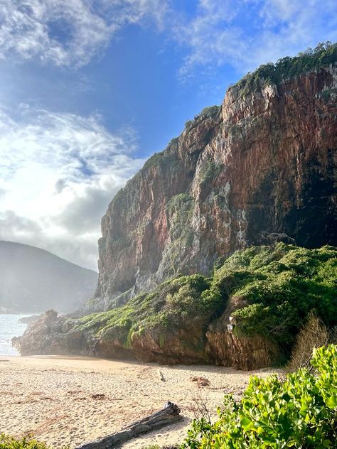 Coney glen in knysna south africa George South Africa, South Africa Coastline, Knysna South Africa, South Africa Vacation, Africa Holiday, Logo Moodboard, Cape Town Mountains, Africa Vacation, Cape Town Waterfront South Africa