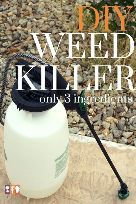 Best Homemade Weedkiller Spray, Weedkiller Recipes Homemade, Home Made Grass Killer Weeds, Homemade Weedkiller Spray Gallon, Homemade Weedkiller Spray, Non Toxic Weedkiller Spray, Grass Killer Diy, Killing Weeds With Vinegar And Salt, Homemade Roundup