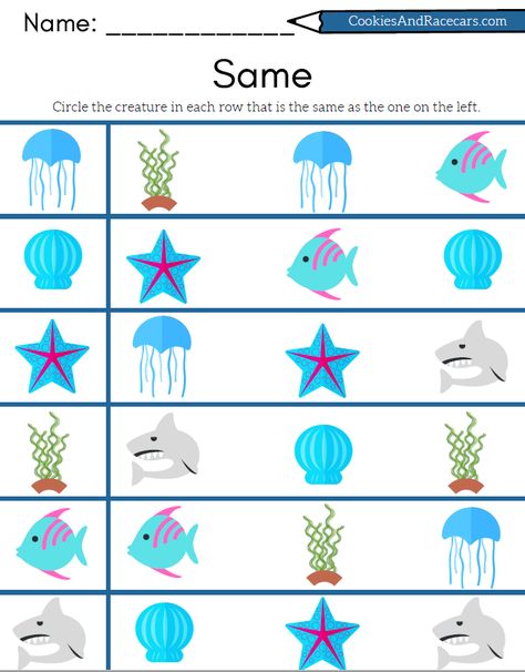 Ocean Worksheets, Worksheets For Prek, Ocean Activities Preschool, Ocean Preschool, Letter D Crafts, Ocean Theme Preschool, Ocean Theme Classroom, Animal Worksheets, Apple Activities