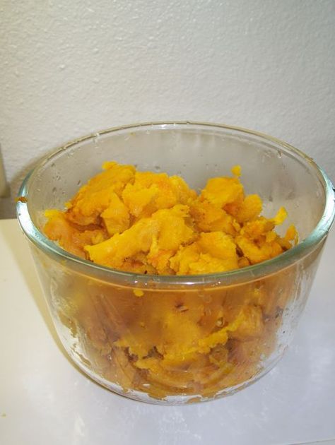 Cooking Pumpkin For Dogs, How To Cook Pumpkin For Dogs, Cook Fresh Pumpkin, Pumpkin For Cats, Pumpkin For Dogs, Cook Pumpkin, Cooking Pumpkin, Fresh Pumpkin, Beautiful Pumpkins