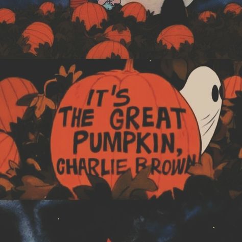 It’s the great pumpkin, Charlie Brown, 1966 🍂🎃🧡 . . . . . . #thegreatpumpkincharliebrown #thegreatpumpkin #igotarock #charliebrownhalloween #snoopy #vintagehalloween #halloween #halloweenaesthetic #vintageaesthetic #halloweenthrowback #nostalgia #nostalgichalloween #deargreatpumpkin Charlie Brown Pumpkin, It's The Great Pumpkin Charlie Brown, The Great Pumpkin Charlie Brown, I Got A Rock, Great Pumpkin Charlie Brown, It's The Great Pumpkin, Charlie Brown Halloween, The Great Pumpkin, Great Pumpkin