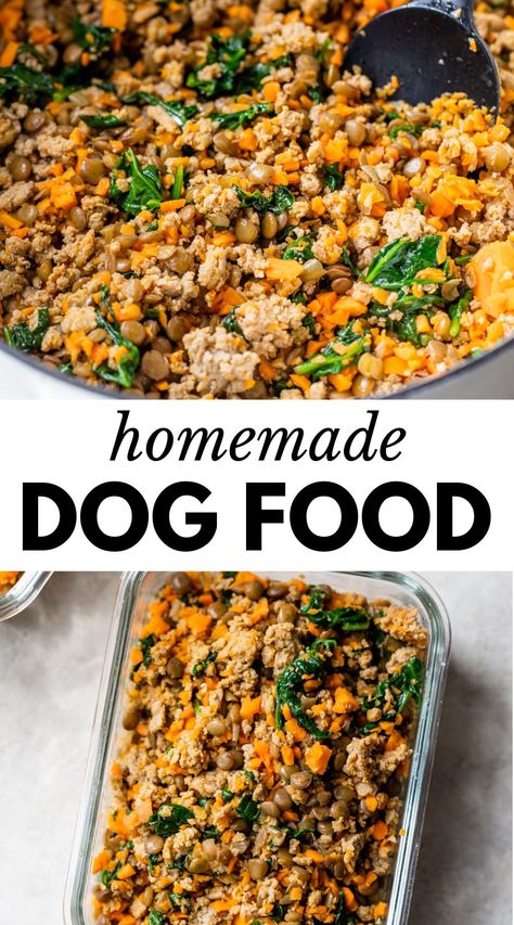 Dog Food Recipes Crockpot, Cook Dog Food, Pet Remedies, Easy Dog Treat Recipes, Diy Dog Food, Make Dog Food, Healthy Dog Treats Homemade, Dog Treats Homemade Recipes, Dog Foods