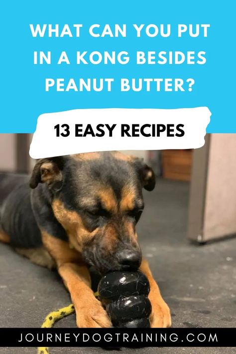 What Can You Put in a Kong Besides Peanut Butter? 13 Easy Recipes | Journey Dog Training Kong Treats, Peanut Butter Alternatives, Kong Stuffing, Recipes For Dogs, Kong Recipes, Dehydrated Dog Food, Simple Foods, Stuffing Ingredients, Healthy Dog Treats Homemade