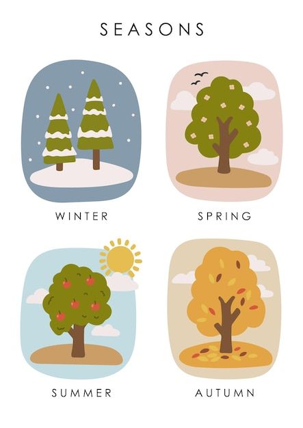 Learning Seasons Preschool, Seasons In English, Seasons For Kids, Kindergarten Illustration, Seasons Illustration, Seasons Kindergarten, Preschool Posters, Seasons Chart, Seasons Poster