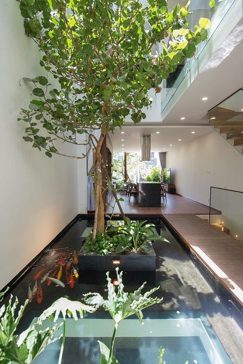 Indoor Zen Garden, Indoor Pond, Koi Pond Design, Kolam Koi, Fish Pond Gardens, Village Ideas, Shigeru Ban, Glass Stairs, Latest Living Room Designs