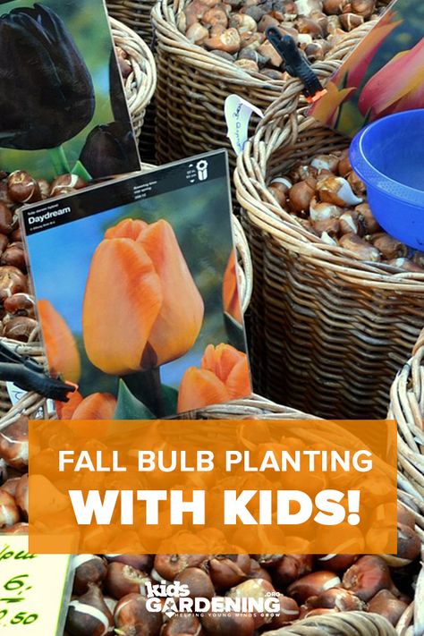 School Flower Garden Ideas Elementary, Fall Garden Activities For Kids, Homeschool Garden, Kids Gardening Projects, How To Plant Bulbs, Fall Bulb Planting, Step Garden, Autumn Flowering Plants, Garden Activity