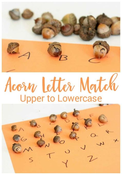 Playschool Ideas, Acorn Writing, Tree Unit, Family Activities Preschool, Transportation Activities, Pumpkin Books, Farm Unit, Fall Kindergarten, Alphabet Games