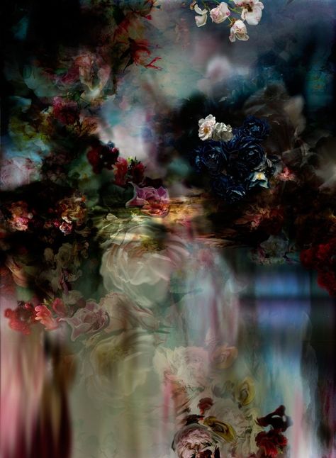 Isabelle Menin, Midnight Garden, Whatsapp Wallpaper, Dark Floral, Abstract Photography, Art Floral, Landscape Photographers, Flowers Photography, Botanical Art