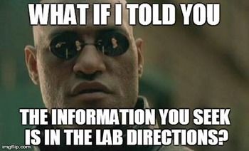 Science Teacher Memes (Lab Safety and Science Process) The Matrix Movie, Catholic Memes, Lab Safety, Original Memes, Teacher Memes, E Mc2, Science Humor, Middle School Science, Science Teacher