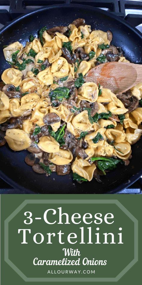 A saucy rich Italian three cheese tortellini pasta dish that is bursting with the flavor of earthy mushrooms and caramelized onions. Fresh spinach adds to the delicious meatless recipe. This is an easy dish to make for a weeknight dinner that the family will love. You can caramelize the onions ahead of time to make the recipe even faster. It is so delicious it is company worthy. Cheese Tortellini Pasta, Three Cheese Tortellini, Romania Food, Caramelized Onions And Mushrooms, Quick Pasta Dishes, Homemade Pasta Recipe, Tortellini Pasta, Italian Pasta Dishes, Best Pasta Recipes