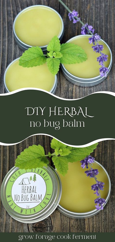 Homemade Salve, Herbal Remedies Recipes, Salve Recipes, Herbal Salves, Herbal Recipes, Natural Healing Remedies, Herbal Healing, Diy Remedies, Homemade Remedies