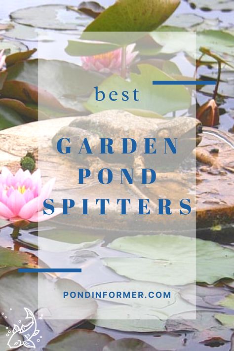 Learn the benefits of garden pond spitters, things to consider when buying a pons spitter, and our top choices of pond spitters at Pond Informer. Pond Spitters Water Features, Pond Spitter, Pond Spitters, Pond Decorations, Mini Pond, Pond Accessories, Benefits Of Gardening, Pond Pumps, Diy Pond