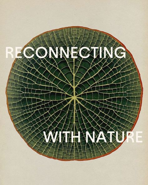 With nearly 85% of Americans living in urban areas, it’s become easier for us to lose touch with nature. We have somehow deprioritized the need to connect with the earth without being fully aware of what we’re missing out on. We may take for granted the palm trees in the distance on our morning commute or the river that runs underneath the bridge we cross to get across town. Read more on the power of nature though the link. Katie Scott, 𝘉𝘰𝘵𝘢𝘯𝘪𝘤𝘶𝘮 – 𝘎𝘪𝘢𝘯𝘵 𝘞𝘢𝘵𝘦𝘳𝘭𝘪𝘭𝘺 (2016) Eco Conscious Aesthetic, Fresh Graphic Design, Growth Graphic Design, Nature Poster Design, Nature Graphic Design, We Are Nature, Sustainability Design, Crown Affair, Nature Texture