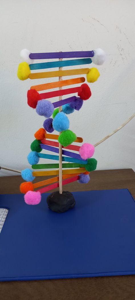 Homemade Dna Model, Model Of Dna Project, Dna Models Projects, Dna Strand Project, Dna School Project, Easy Dna Model Project, How To Make Dna Model, Dna Molecule Project, Dna Activities For Kids