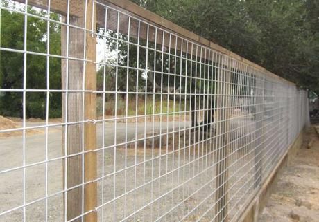 Hog Panel Fencing, Cattle Panel Fence, Cottage Fence, Wire Fence Panels, Diy Dog Fence, Hog Wire Fence, Welded Wire Fence, Cattle Panels, Wire Mesh Fence