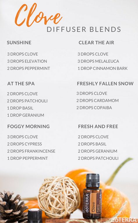 Clove Diffuser Blends - #doTERRA #essentialoils www.playthegracenotes.com Doterra Diffuser, Doterra Diffuser Blends, Doterra Oil, Doterra Essential Oils Recipes, Essential Oil Diffuser Blends Recipes, Clove Essential Oil, Essential Oil Diffuser Recipes, Oil Diffuser Recipes, Essential Oil Blends Recipes