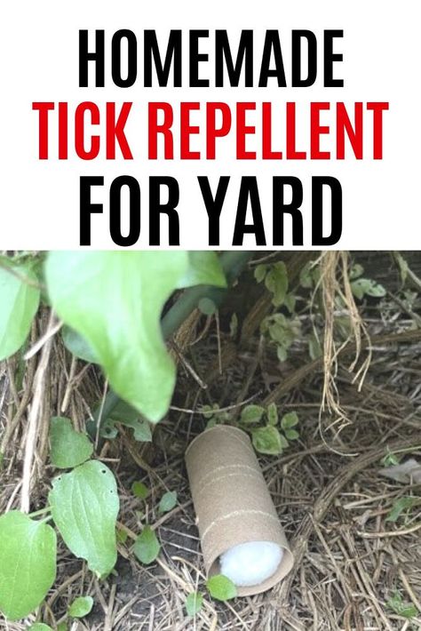 Tick Repellant, Diy Tick Repellent For Dogs, Wood Tick Repellent, Flea And Tick Repellent For Yard, Flea And Tick Repellent For Dogs Diy, Diy Tick Repellent For Humans, Get Rid Of Ticks In Yard, Ticks In Yard How To Get Rid Of, Tick Repellent For Yard