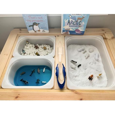 Artic Sensory Table, Winter Sensory Table, Pretend Snow, Toddler Sensory Bins, Snow Theme, Keeping Busy, Toddler Sensory, Sensory Table, Sugar Cubes