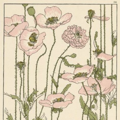 Pink Drawing, Poppies Tattoo, Pink Poppy, Dorm Posters, Poppy Painting, Pink Poppies, Pink Posters, Pastel Pink Aesthetic, Arte Floral