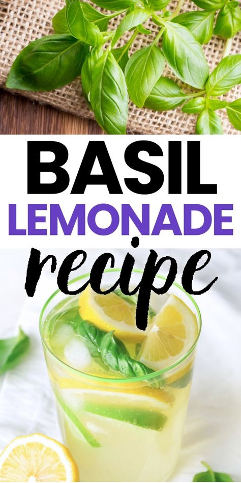 Basil lemonade in a glass with lemon slices and basil leaves. What To Do With Basil From Garden, Things To Make With Basil, Fresh Basil Ideas, What To Do With Basil, Recipes With Basil, Basil Lemonade Recipe, Lemon Shake Up, Basil Drinks, Vegan Christmas Desserts