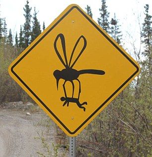 Funny Road Signs, Deer Crossing, Fleet Farm, State Birds, Unusual Things, Chernobyl, Road Signs, Street Signs, Funny Signs