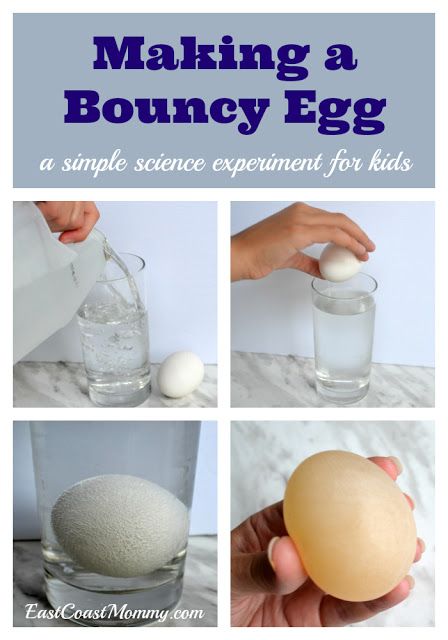 Bouncy Egg, Vetenskapliga Experiment, Science Experience, Science Experiment For Kids, Rainy Summer, Experiment For Kids, Diy Science Experiments, Science Experiments For Preschoolers, Simple Science