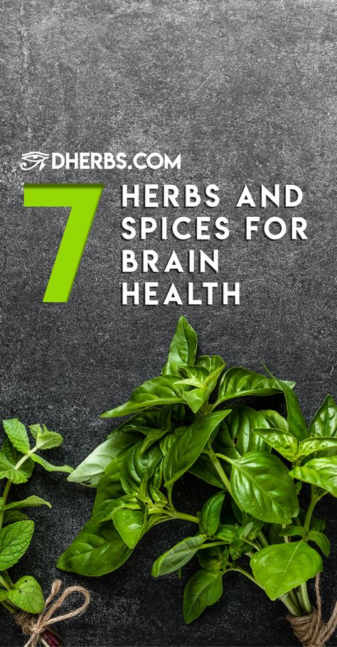 We all know that diet plays an integral role in relation to physical health, but recent studies have found how big of an influence diet has on the health of your brain. It turns out that items in your fridge, spice cabinet, or pantry may be able to reduce your risk of cognitive decline and boost processes involved with thinking, remembering, understanding, and learning. We aren’t talking about processed, calorie-ridden, sugary or salty foods, though; we are talking about herbs and spices. Herb Tinctures, Cognitive Decline, Standard American Diet, Sage Tea, Mind Health, Spice Cabinet, Salty Foods, Improve Cognitive Function, Healthy Brain