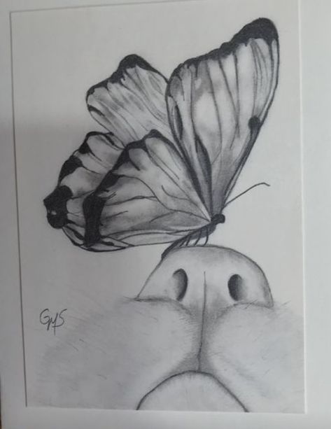 Nose Drawing, Dog Sketch, Flower Art Drawing, Nyc Art, Butterfly Drawing, Pencil Art Drawings, Sketchbook Art Inspiration, Cat Tattoo, Line Art Drawings