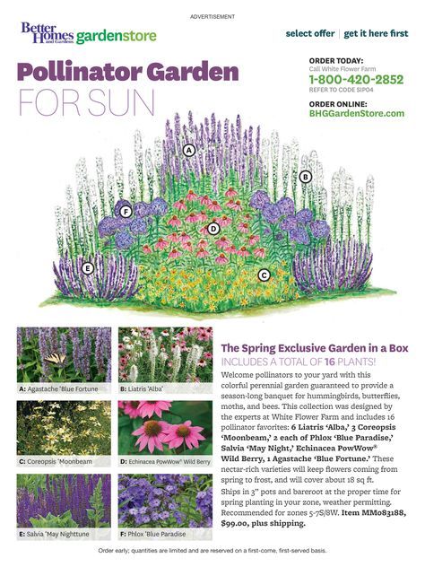 Lukisan Landskap, Flower Combinations, Flower Garden Plans, Butterfly Garden Design, Gimme Shelter, White Flower Farm, Country Gardens, Dream Yard, House Landscaping