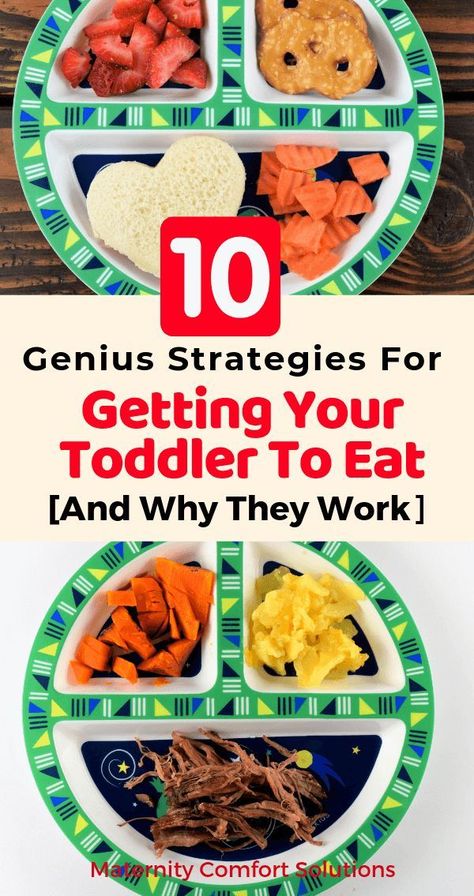 Meals For One Year Old Picky Eaters, 12 Month Old Picky Eater, Healthy Food For Picky Toddlers, Picky One Year Old Meals, Easy Food For Picky Eaters, Kids Foods For Picky Eaters, Food 12 Month Old, Smoothies For Toddlers Picky Eaters, How To Get Picky Eaters To Eat Healthy