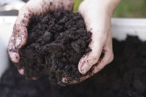 Poor soil grows poor plants. Unless you have a garden full of black gold, you need to know how to improve soil. Whether it Garden Soil Preparation, Acidic Soil, Black Soil, Crop Production, Garden Compost, Soil Ph, Healthy Garden, Organic Gardening Tips, Soil Health