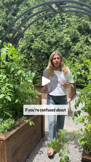 Nicole Johnsey Burke on Instagram: "The first few years I grew tomatoes, I got a ton of leaves and very little fruit 🥲

And the little fruit I did get, mostly got eaten by squirrels and raccoons 😭

Enter heavy pruning-the first year I tried to grow this way, the fruit was crazy good-like tons! Plenty for the squirrels and me! 

Ever since then, this is the way I do it for myself and my clients.

Want to see the whole process of pruning tomatoes to grow on an arch trellis? Head to our YouTube channel to see the whole series-including pruning! 

Also our Nicole arch trellis is currently out of stock but we’re taking pre orders now. You can comment SHOP and I’ll send you a link to your DMs." Pruning Tomatoes, Tomato Trellis, Edible Gardens, Arch Trellis, Growing Tomatoes, Growing Food, Edible Garden, The Fruit, Squirrels