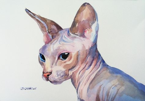 Sphynx Hairless Cat pet animal cat portrait  ORIGINAL WATERCOLOR PAINTING from alisiasilverART Pet Paintings Dogs, Chat Sphynx, Custom Pet Painting, Cat Watercolor, Sphinx Cat, Custom Cat Portrait, Pets Drawing, Hairless Cat, Cat Portrait