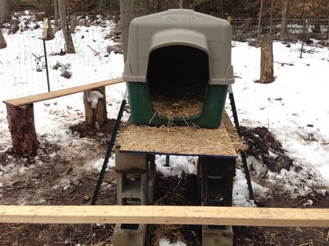 Turkey Roost / Shelter / Coop Help Diy Turkey Nesting Boxes, Turkey Nesting Boxes, Turkey Feeders Diy, Turkey Nesting Box Ideas, Turkey Shelter Ideas, Turkey Roost Ideas, Turkey Enclosure, Turkey House Coop, Turkey Coop Ideas