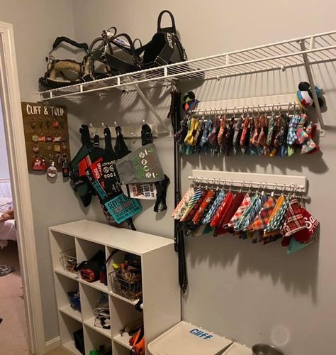 Dog Stuff Organization Cabinet, Dog Supplies Storage Ideas, Pet Room Organization, Dog Supplies Organization Storage, Dog Trainer Organization, Dog Harness Organization, Dog Collar Storage Ideas, Dog Harness Storage, Organizing Dog Supplies