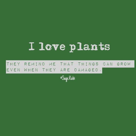 Plants remind me that things can grow even when damaged Caption For Him, Plant Quotes, Couples Night, I Love Plants, Growing Quotes, Plants Quotes, Kitchen Plants, Canvas Art Quotes, Love Plants