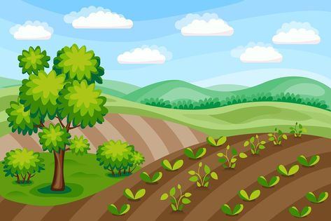 Agriculture Drawing Easy, Agriculture Drawing, Animation Walk Cycle, Carrot Farm, Agriculture Background, Landscape Field, Shin Chan Wallpapers, Field Background, Crop Farming