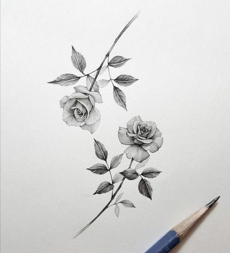 Realistic Rose Tattoo, Rose Flower Tattoos, Petit Tattoo, Flower Tattoo Drawings, Rose Tattoos For Women, Small Rose Tattoo, Realistic Rose, Tattoo Graphic, Flower Art Drawing