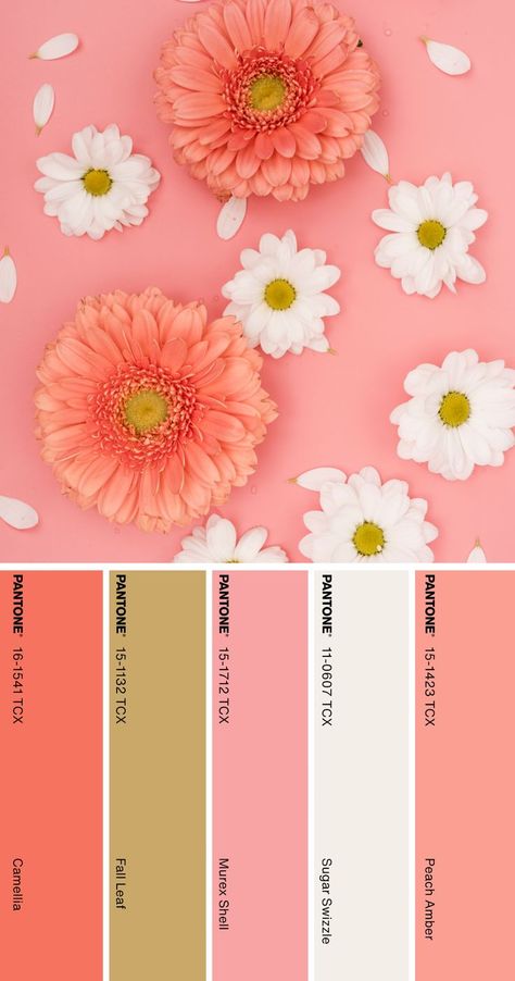 Pantone Color Palette #pantone #color #palette Mothers Day Color Palette, Pantone Color Palette Charts, Pantone Color 2024, Pantone 2024 Color Trends, Pantone Flower, Color Palette Pantone, Pantone Color Palette, Brunch Picnic, Pantone 2024